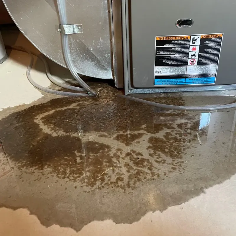 Pipe Burst and Leak Restoration in Montpelier, VT