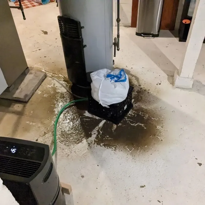 Sewage Backup Cleanup Service in Montpelier, VT